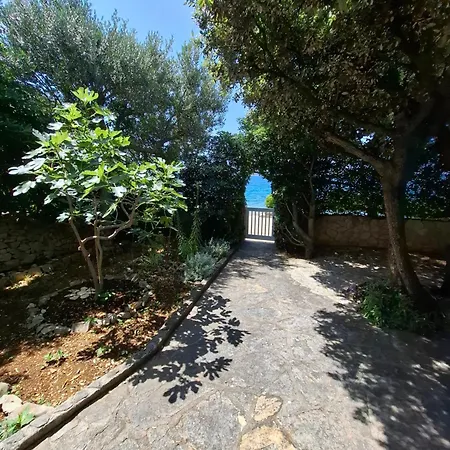Διαμέρισμα Anzulet *