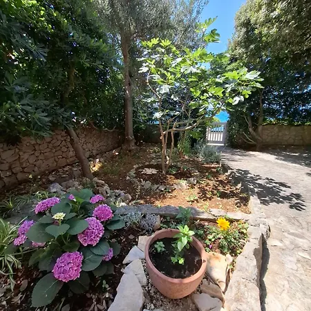 Anzulet Apartman